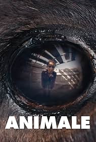 Animale 2024 torrent